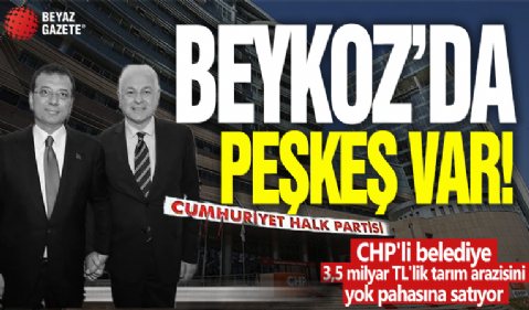 Beykoz'da peşkeş var! CHP'li belediye 3,5 milyar TL'lik tarım arazisi yok pahasına satıyor