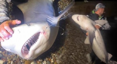 Yer: Antalya! Recep İvedik sahnesi gerçek oldu: Köpek balığını kucakladı