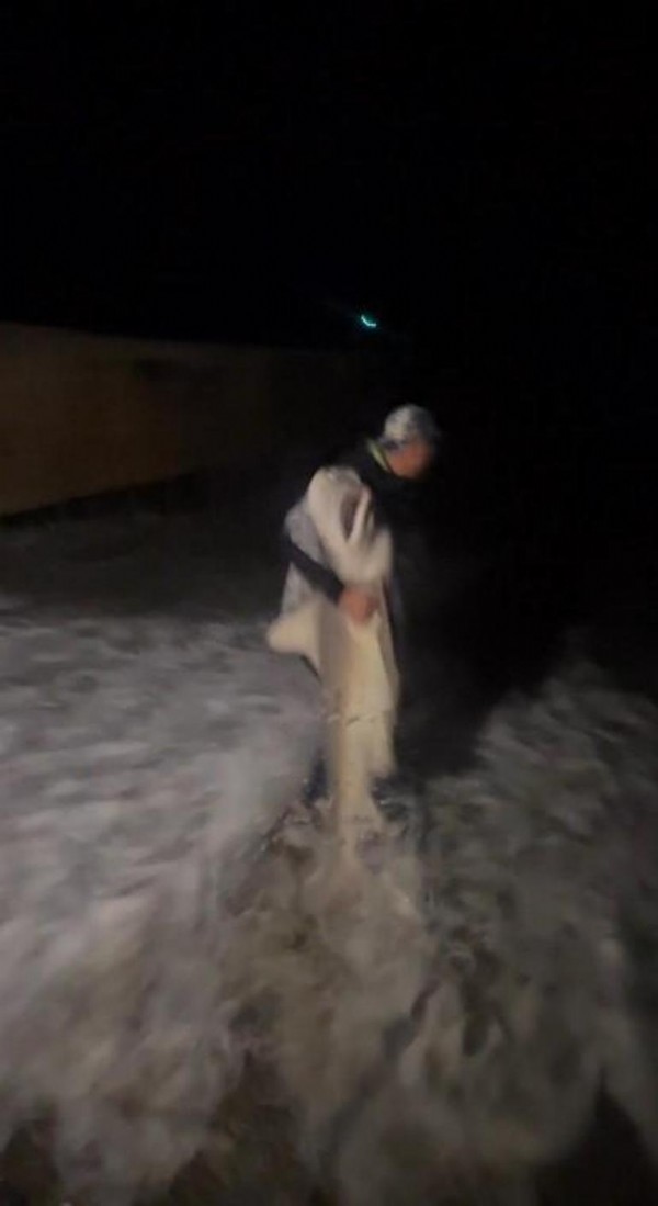 Yer: Antalya! Recep İvedik sahnesi gerçek oldu: Köpek balığını kucakladı