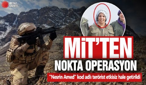 MİT'ten Kamışlı'da nokta operasyon