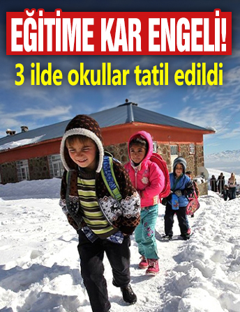 Eğitime olumsuz hava engeli: 3 ilde okullar tatil edildi