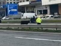 Görenler donup kaldı! E-5'te şaşkınlık veren görüntü!