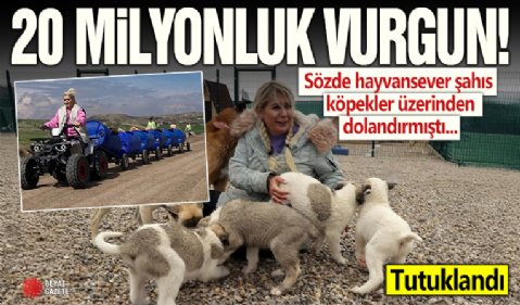 Ankara'da 20 milyon liralık başıboş köpek vurgunu: Dernek başkanı tutuklandı