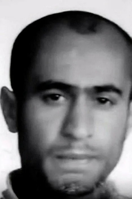 İstanbul’da başıboş köpekler adamı parçalayarak öldürdü! Otopsi raporunda korkunç detaylar!