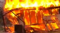Bartın'da feci ölüm! Barakada yanarak can verdi