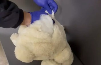 Oyuncak ayının içerisinden zehir çıktı: 3 kişi gözaltında!