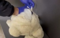 Oyuncak ayının içerisinden zehir çıktı: 3 kişi gözaltında!