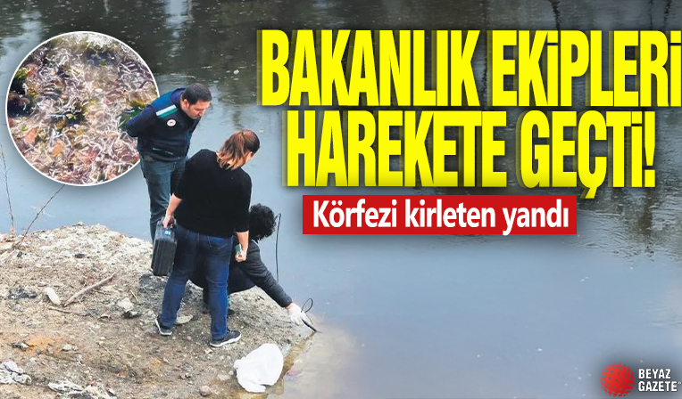 Bakanlık ekipleri harekete geçti! Körfezi kirleten yandı