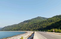 Samsun'a 2023 Yilinda 504 Milyon TL'lik Orman Yatirimi