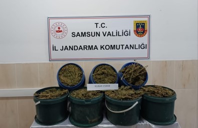 Samsun'da 17 Kilo 700 Gram Uyusturucu Ele Geçirildi