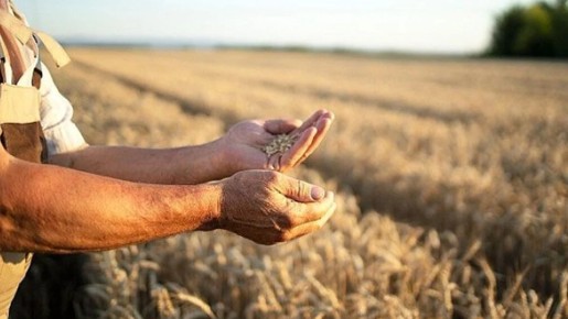 Çiftçilere müjde: O tarihte hesapları kontrol edin