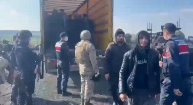 Diyarbakir'da Tirda 72 Kaçak Göçmen Yakalandi