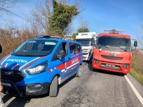 Alapli'da Iki Tir Kafa Kafaya Çarpisti