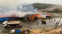 Çanakkale'de Dama Yildirim Düsmesi Sonucu 2 Bin Balya Saman Yandi, 29 Büyükbas Hayvan Yanmaktan Kurtarildi