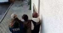 Kocaeli'de terör operasyonu! 11 kişi gözaltına alındı Haberi