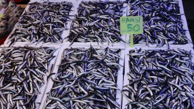 Hamsi Bereketi Ihracat Rakamlarina Da Yansidi