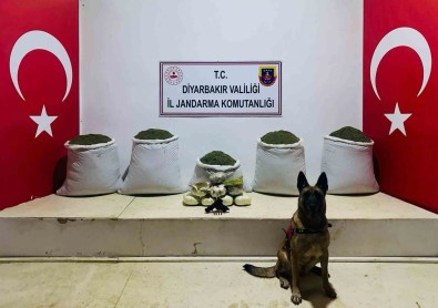 Lice'de 91 Kilo Esrar Ele Geçirildi