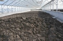 Manisa'da 35 Bin Ton Aritma Çamuru Bertaraf Edildi