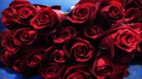 Yalova'da Sevgililer Günü'nde Çiçek Satislari 2'Ye Katladi Haberi