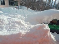 Posof'ta Karla Mücadele Çalismalari Sürüyor Haberi