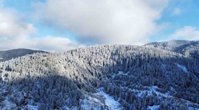 Ilgaz Dağı eteklerinde kaydedildi: Dronla göğün en yüksek tepesinden çekildi! Görenler hayran kaldı