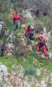 Kayaliklarda Mahsur Klan Keçi Ve Yavrusunu AKUT Ekibi Kurtardi