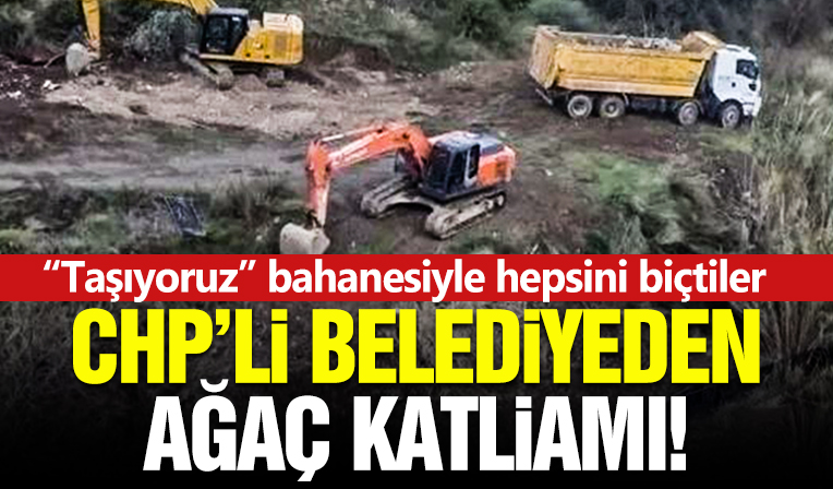 CHP'li Narlıdere Belediyesi'nin durmak bilmeyen ağaç katliamı!