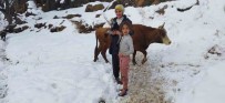 Sason'da Kar Nedeniyle Kapanan 22 Köy Ve 17 Mezra Yolu Ulasima Açildi Haberi