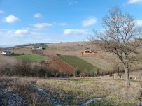 Tapu'dan 2023 Yilinda Devlete 773 Milyon TL Gelir