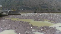Artvin'deki Sel Muratli Baraj Gölü'nü Çöplüge Çevirdi Haberi