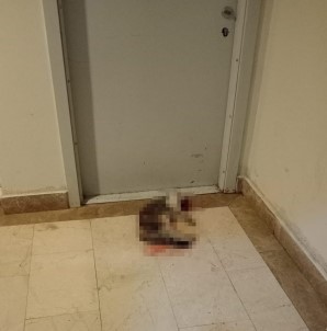 Kedi Eros'u Darp Ederek Öldüren Ibrahim Keloglan Hakkindaki Karar Kaldirildi