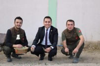 Ihsaniye'de Salep Yetistiriliyor