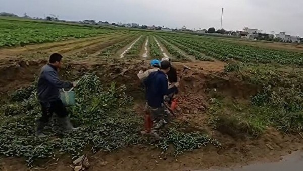 Toprağın altından çıkanlar tüm dünyayı dehşete düşürdü: Sinyal aldıkça kazdılar! Dedektörle bulup çuvallara doldurdular