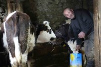 Görmeyen Gözlerine Ragmen Hayvancilik Yaparak Hayata Tutunuyor