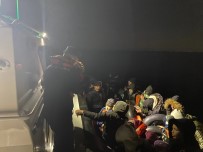 Aydin'da 52 Düzensiz Göçmen Kurtarildi