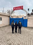 Mardin'de Gözaltina Alinan 80 Süpheliden 19'U Tutuklandi