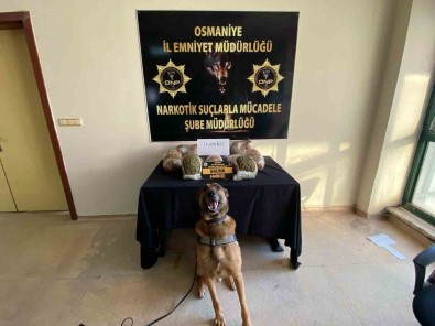 Yolcu Otobüsünde 11 Kilo 650 Gram Uyusturucu Ele Geçirildi