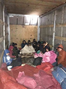 Amasya'da 13 Kaçak Göçmen Yakalandi, 2 Kisi Tutuklandi