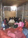 Amasya'da 13 Kaçak Göçmen Yakalandi, 2 Kisi Tutuklandi Haberi