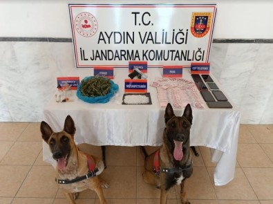 Aydin'da 48 Zehir Taciri Yakalandi