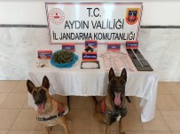 Aydin'da 48 Zehir Taciri Yakalandi