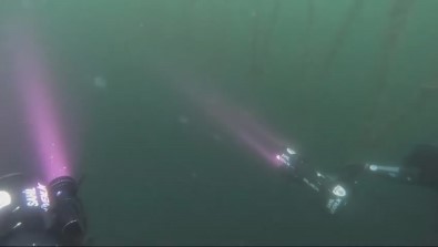 Kayip Mürettebat Için 41 Dalis Gerçeklestirildi