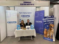 Üniversite Ögrencilerinin Is Basvurusu Talepleri De Aliniyor