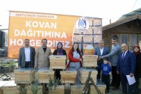 Üreticilere Fidan Ve Kovan Destegi