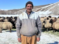 Yüksekova'da Ithal Çoban Dönemi