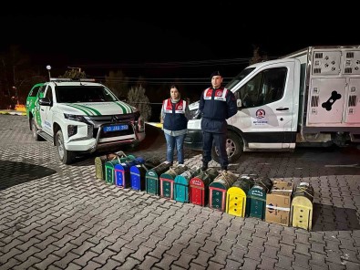 JASAT'tan Komando Destekli Horoz Dövüsü Operasyonu