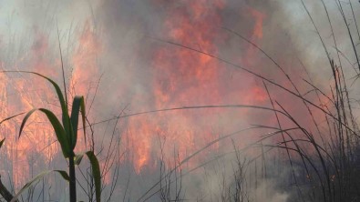 Kargilik Yangininda Alevlerin Boyu 5 Metreye Kadar Yükseldi