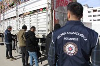 Amasya'da Çöp Dolu Tirdan 3 Kaçak Göçmen Çikti Haberi