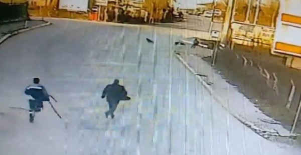 Kocaeli'de sabah okula giden çocuğa başıboş köpekler saldırdı: O anlar...