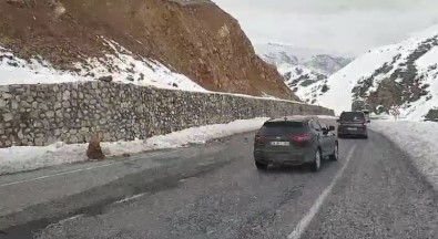 Bitlis'te Yola Düsen Kayalar Sürücülere Zor Anlar Yasatti